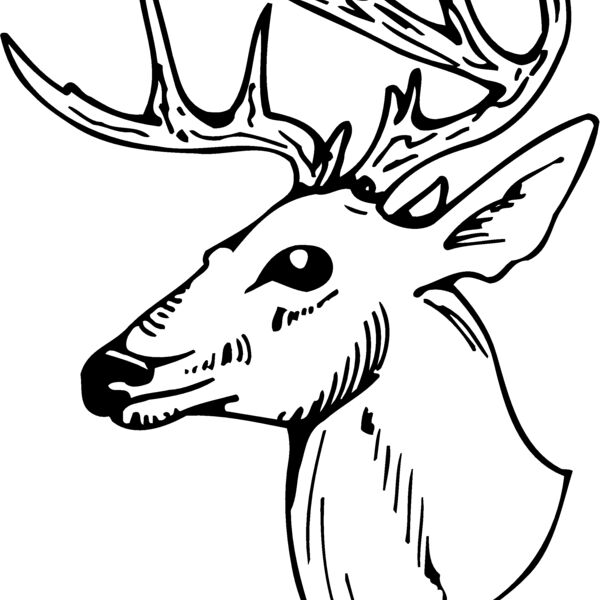 DEER018 Thumbnail